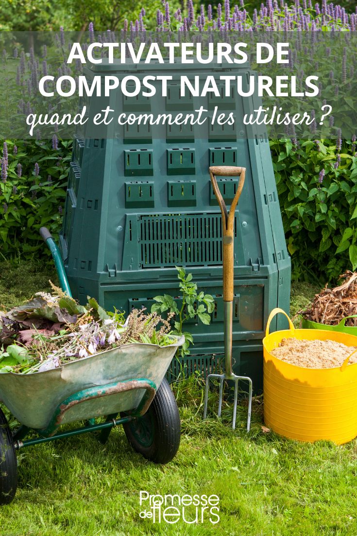 Accélérateur de compost naturel & Bio – Compostage rapide