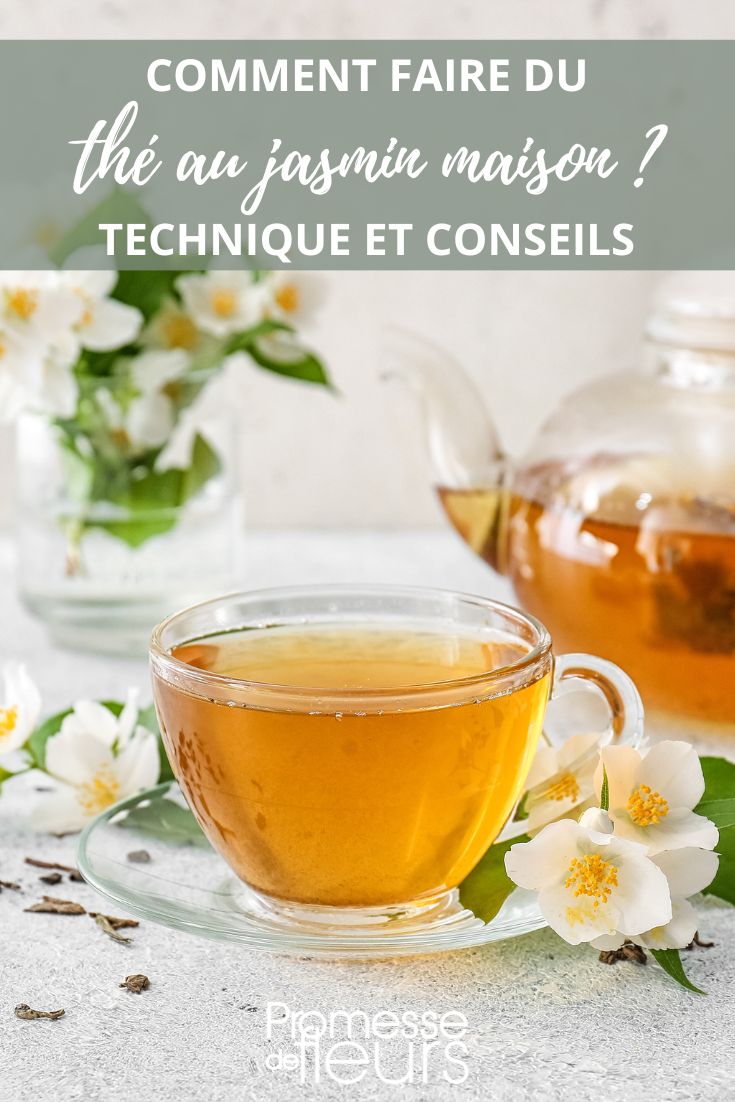 Comment faire du thé au jasmin maison ? - Promesse de Fleurs
