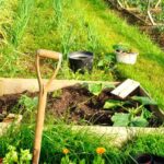 Comment rater votre potager en 5 leçons ?