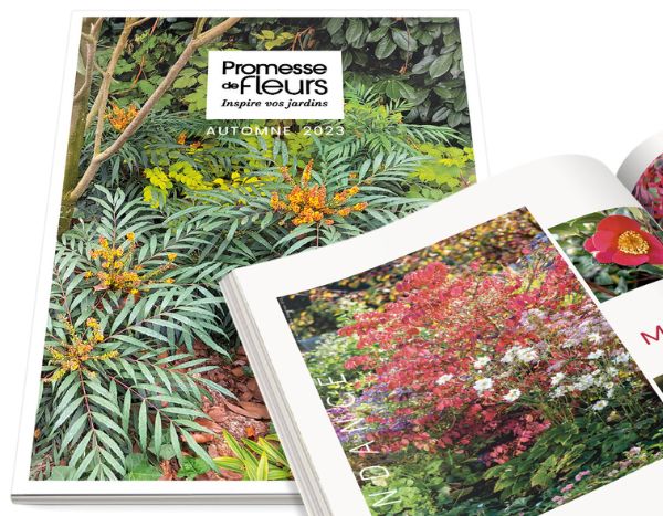 Le nouveau catalogue Automne - Hiver 2023 est en ligne !