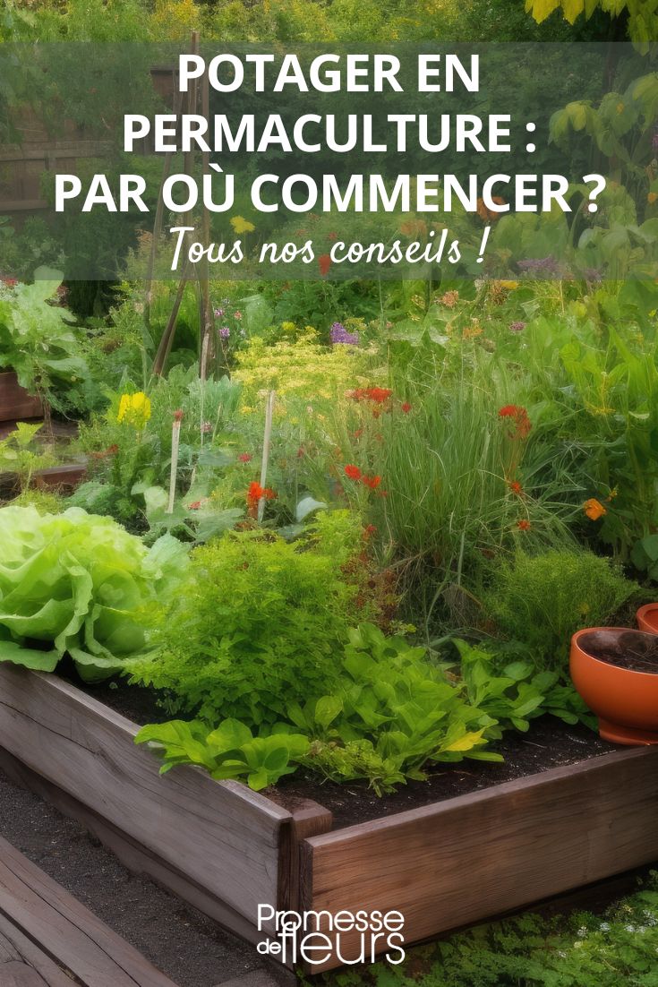 Pierres et bois pour un potager sans ravageurs et plein de vie