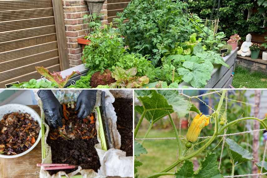 permaculture urbaine, potager permaculture en ville, faire pousser ses legumes permaculture en ville