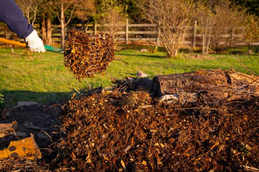 Culture sur butte, potager permaculture, hügelkutur, cultures potageres sur butte