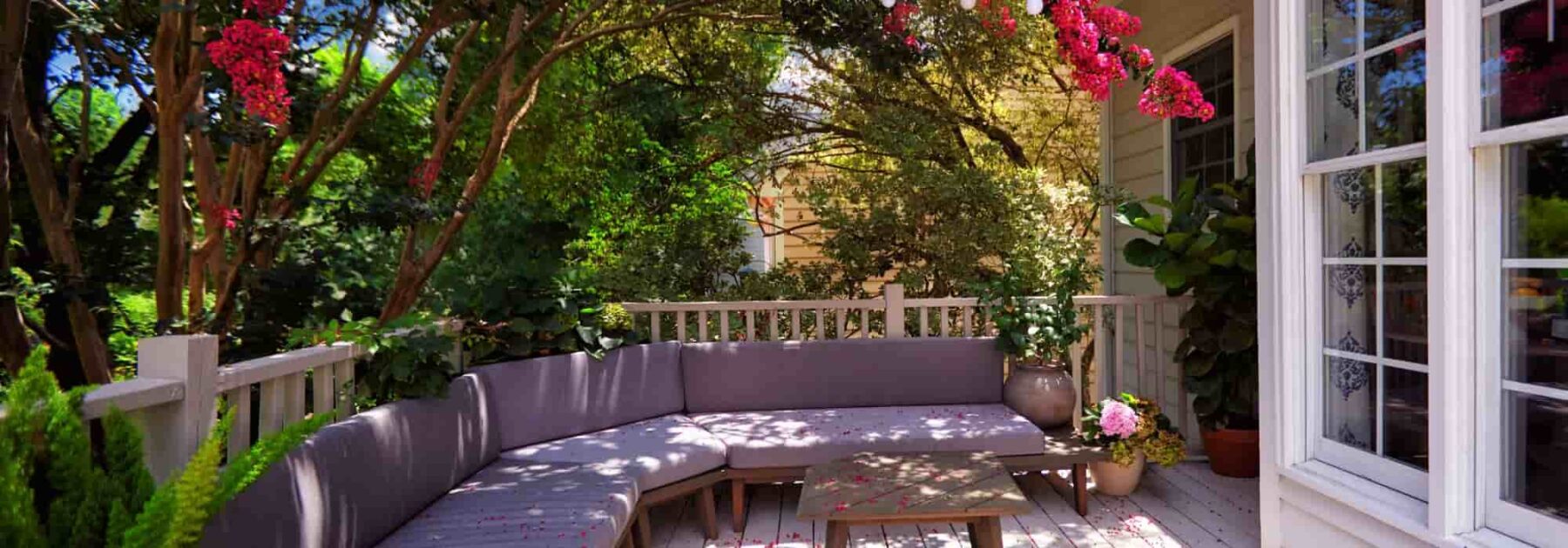 7 arbres pour ombrager une terrasse