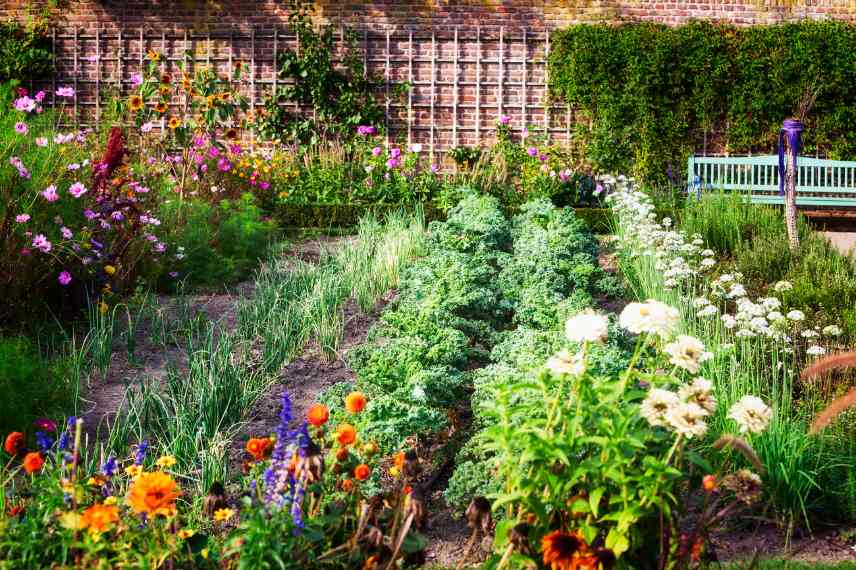 fleurs dans potager permacole, permaculture et fleurs, quelles fleurs potager en permaculture, fleur utiles compagnon potager