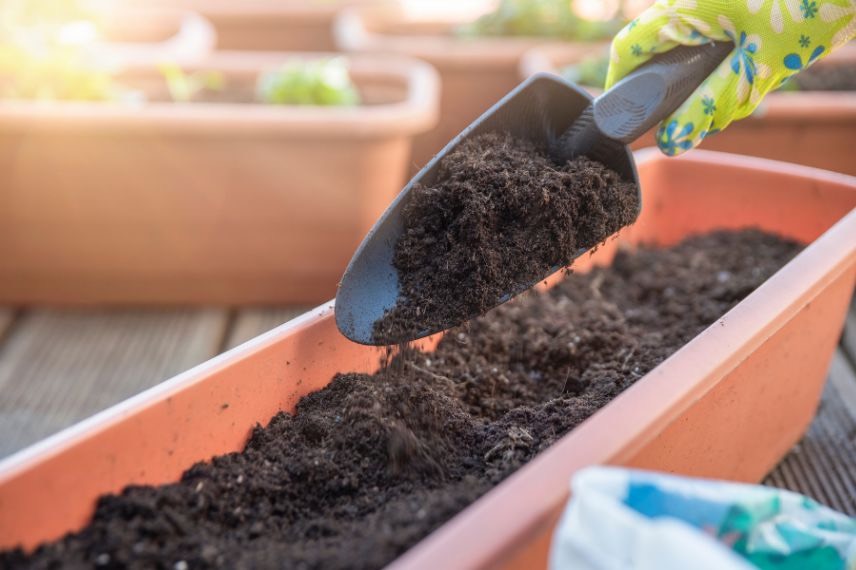 Terreau pour jardiniere