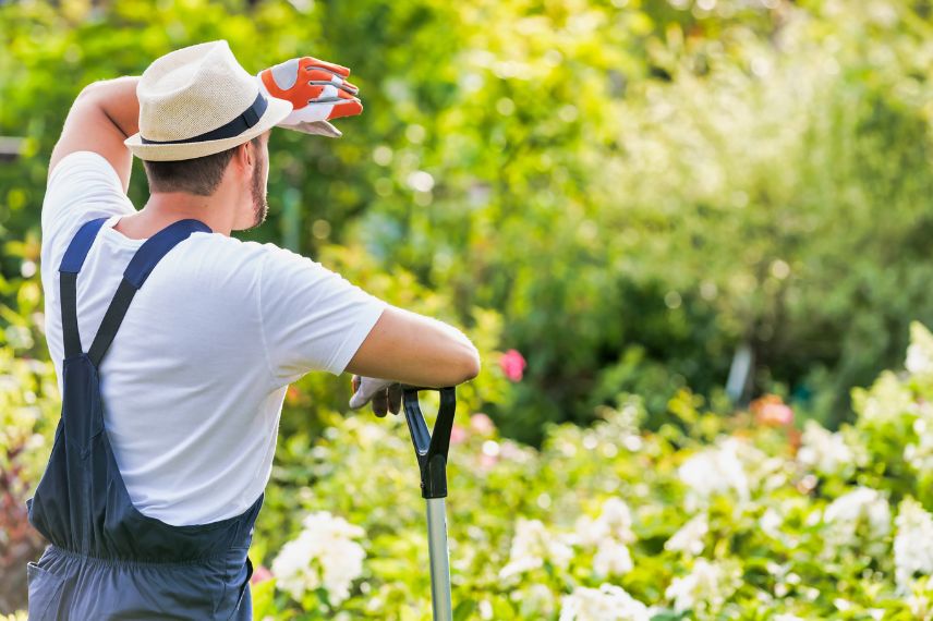 débuter un potager en permaculture