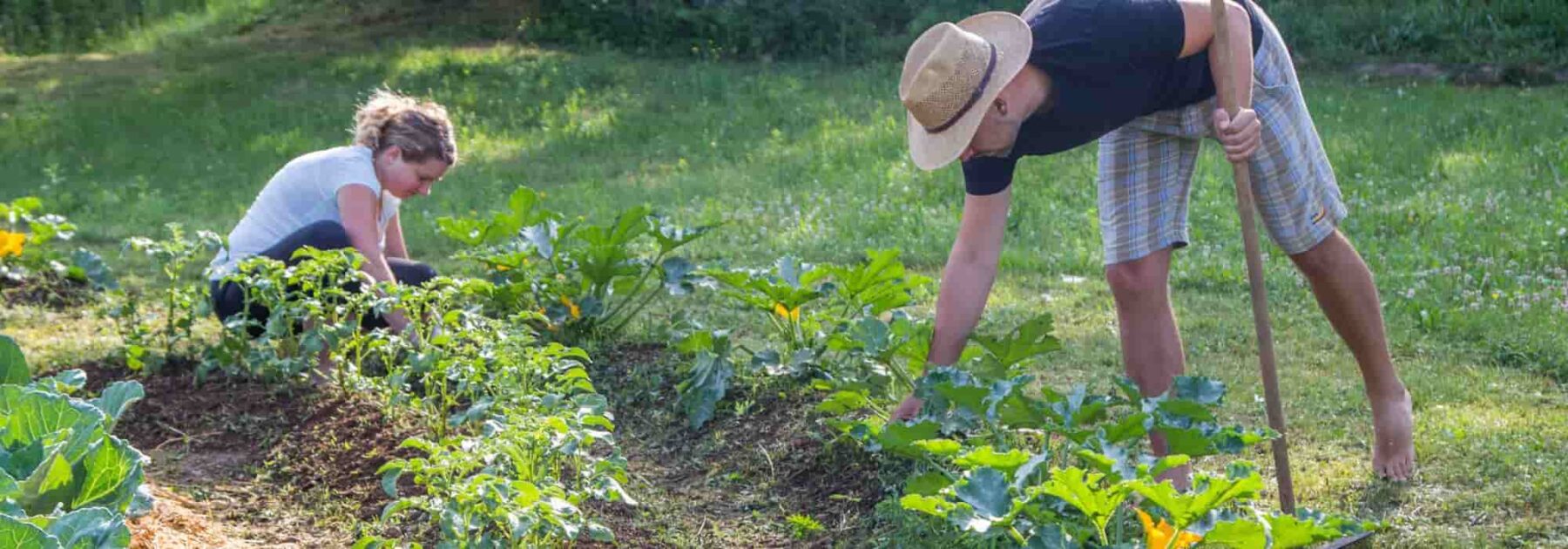 Idée cadeau - formation jardinage - Le jardin potager au naturel