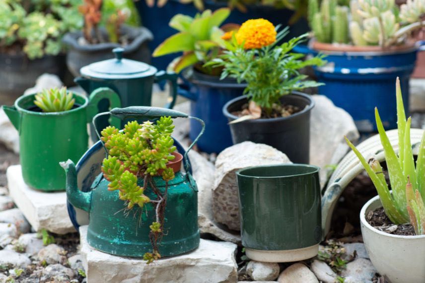 pots verts et bleus