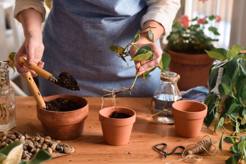 Perlite minérale naturelle pour semis bouturages rempotages