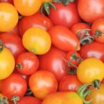 Comment choisir ses tomates cerise ou cocktail ?