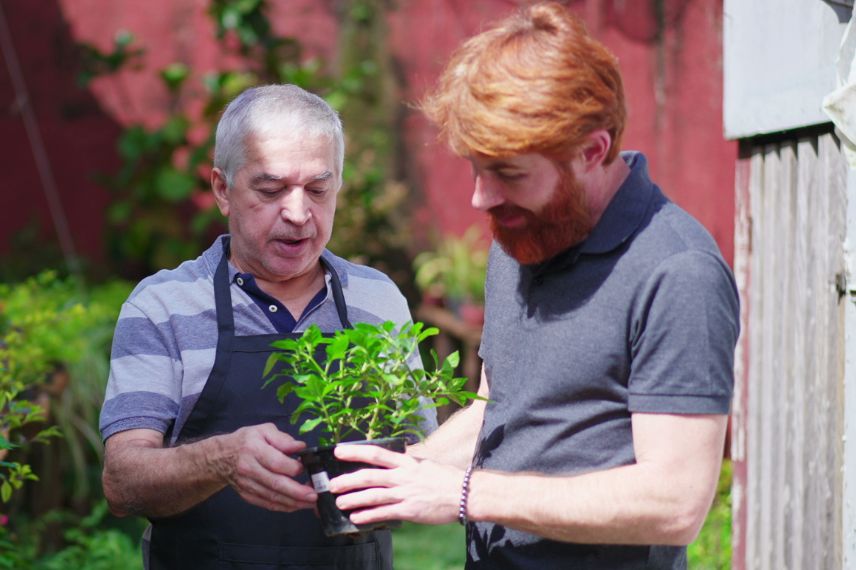 échange de plantes