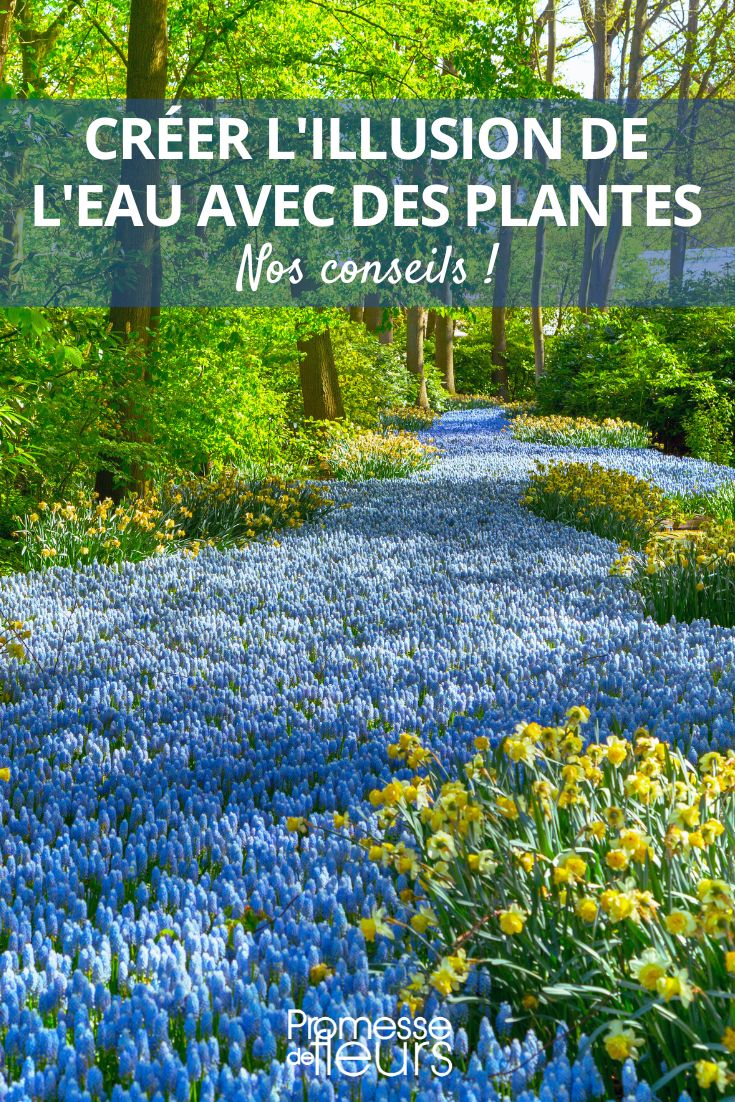 L'arrosage et la gestion de l'eau en été au jardin - France Bleu