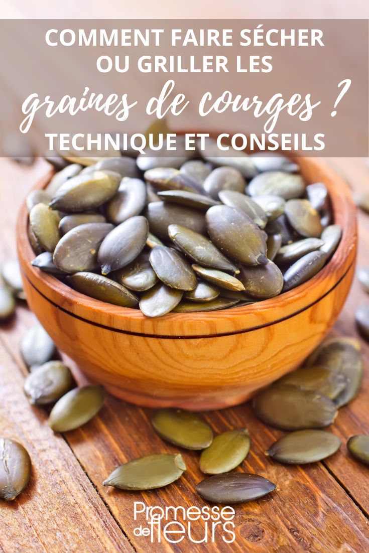 Comment faire des graines de courges maison ? - Blog Promesse de