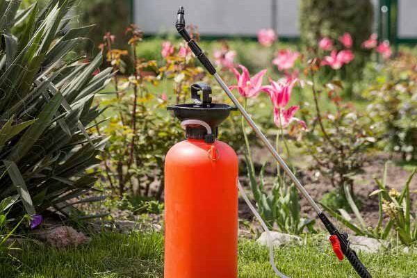 Les conséquences néfastes des pesticides sur la faune du sol