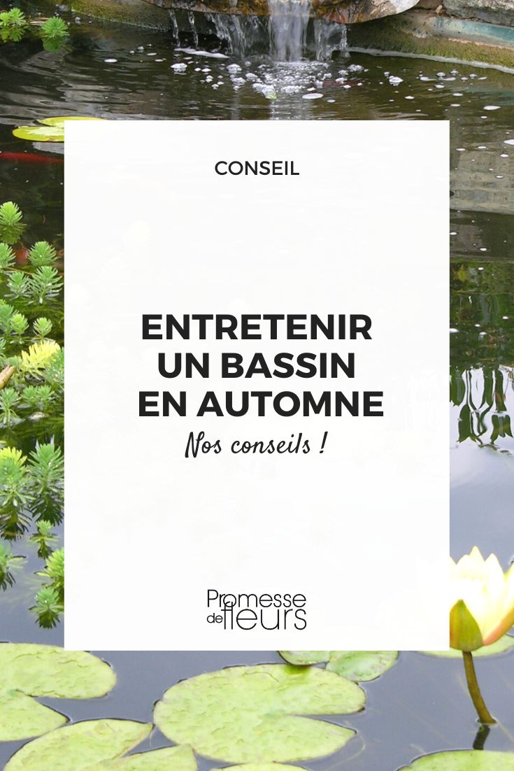 conseils pour preparer son bassin à passer l'hiver