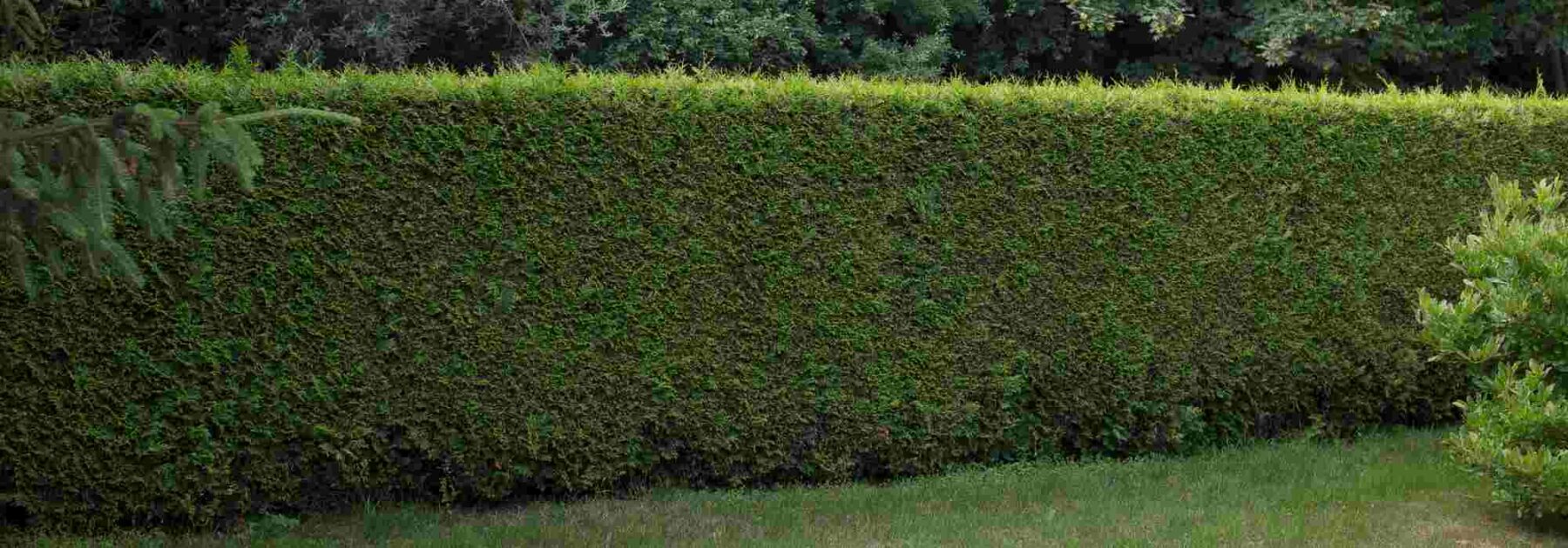 Installer un mur anti bruit dans son jardin contre un voisin