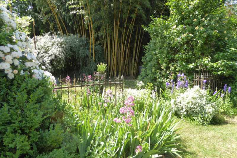 Protéger votre jardin à l'arrivée de l'hiver - La Pause Jardin