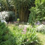 Le Jardin de la Closerie, un havre de paix en Anjou