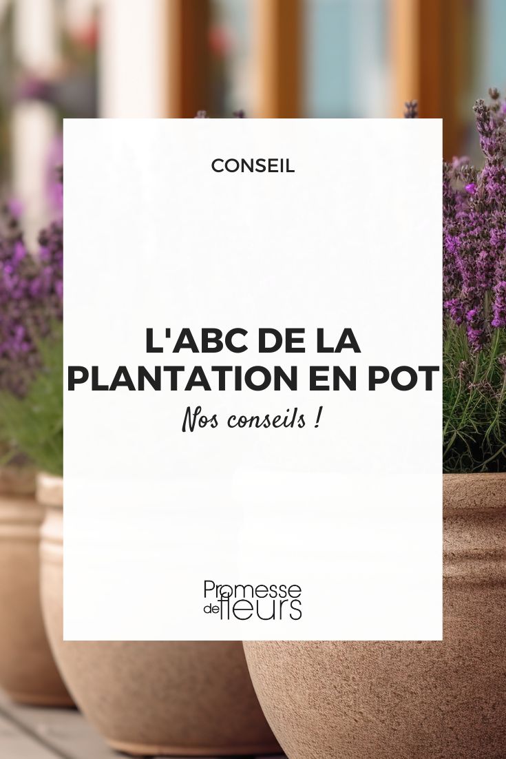 conseils plantation en pot, comment planter en pot, technique plantation en pot