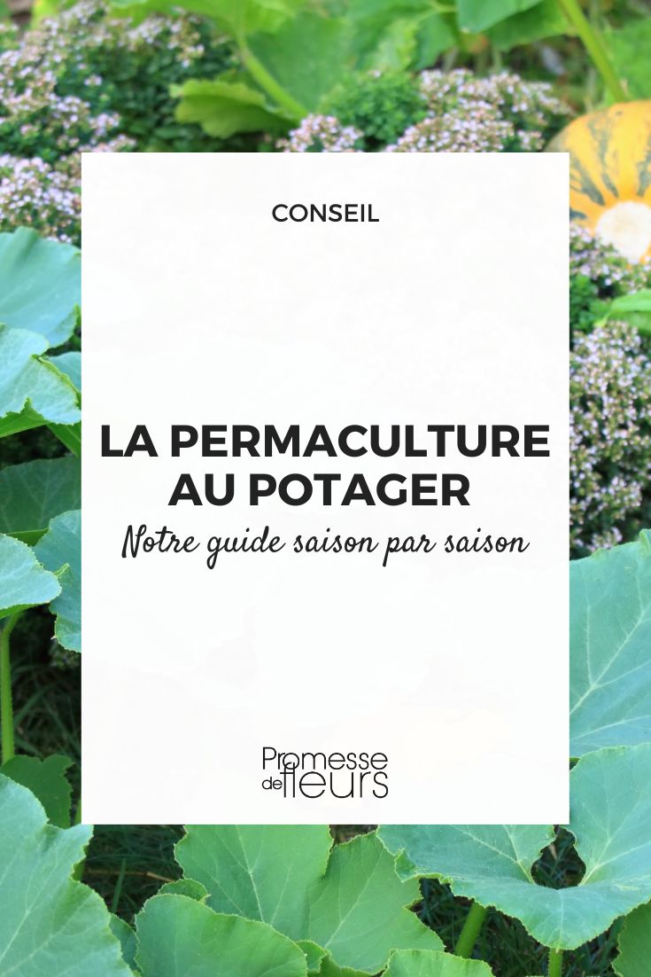 potager permaculture