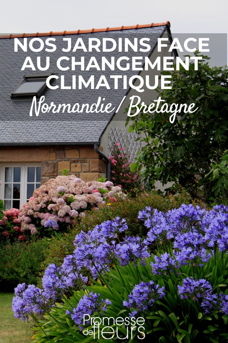 Témoignage Astuce: Comment changer de parfum d'ambiance pas cher