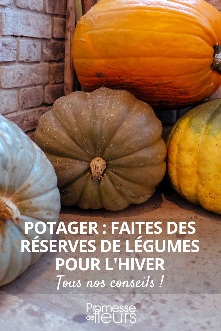 conserver legumes hiver