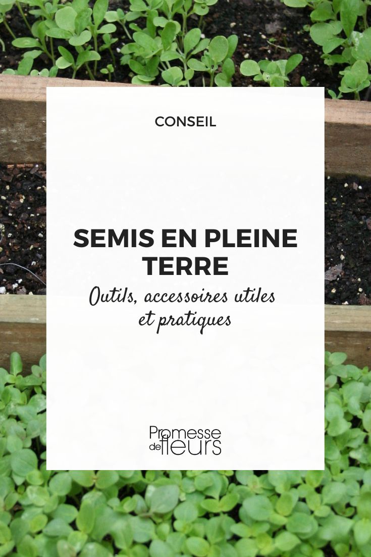 Étiquettes pratiques pour marquer vos semis, repiquages et plantes.