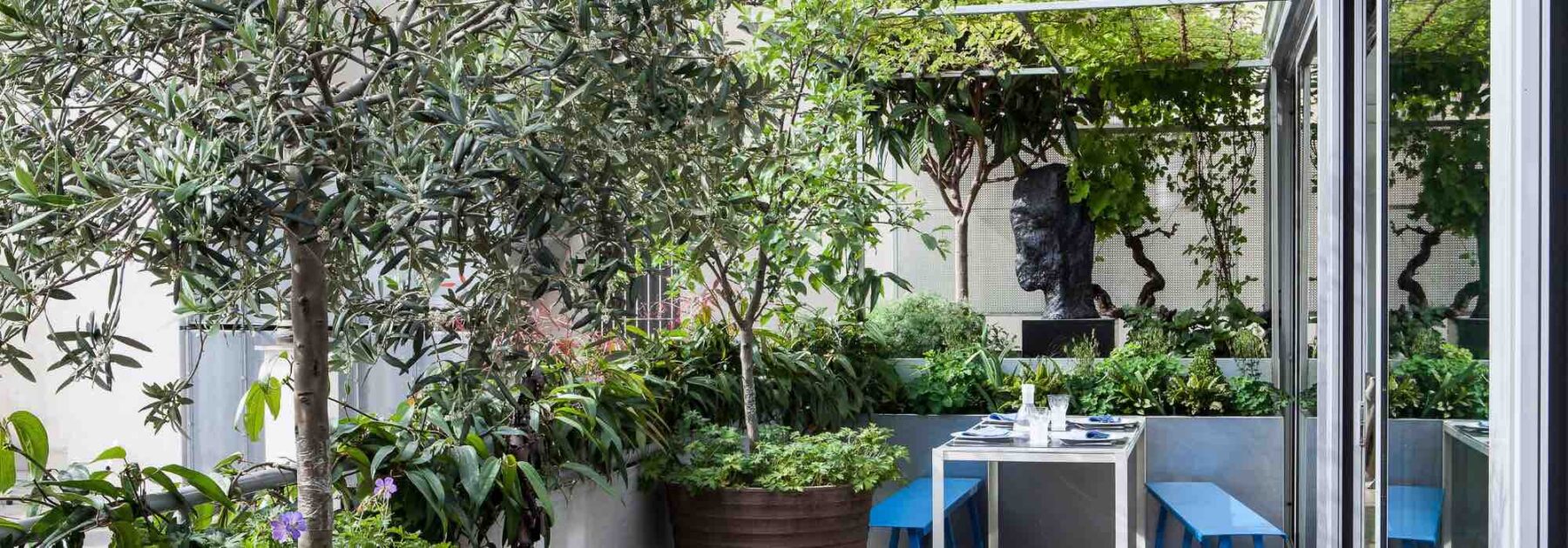 7 arbres à cultiver en pot sur une terrasse ou un balcon