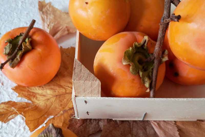 conservação da colheita de frutos de caqui, colheita e conserva de caqui, caqui na culinária