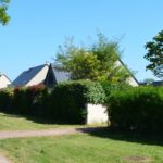 Choisir ses arbustes de haie pour un jardin de lotissement