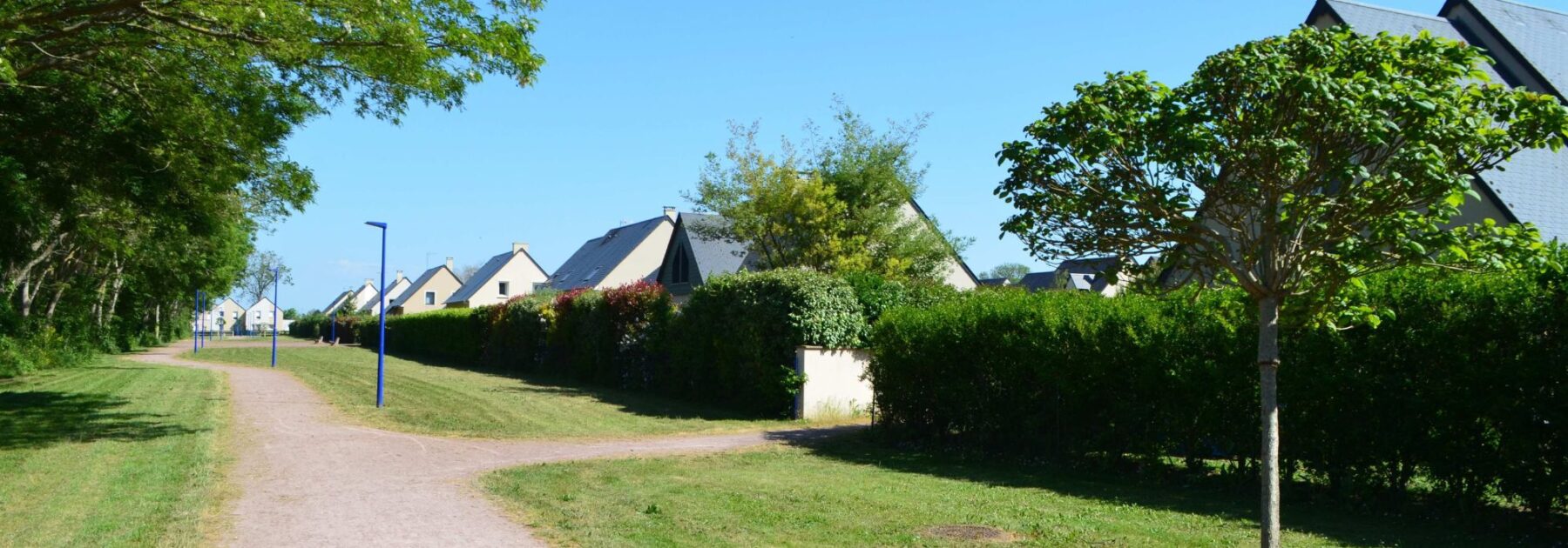 Choisir ses arbustes de haie pour un jardin de lotissement