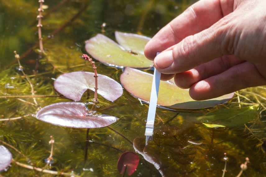 verifier le pH du bassin