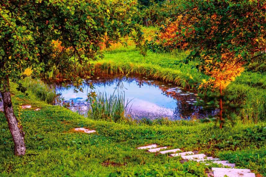 a l'automne, prendre soin d'un etang ou une mare