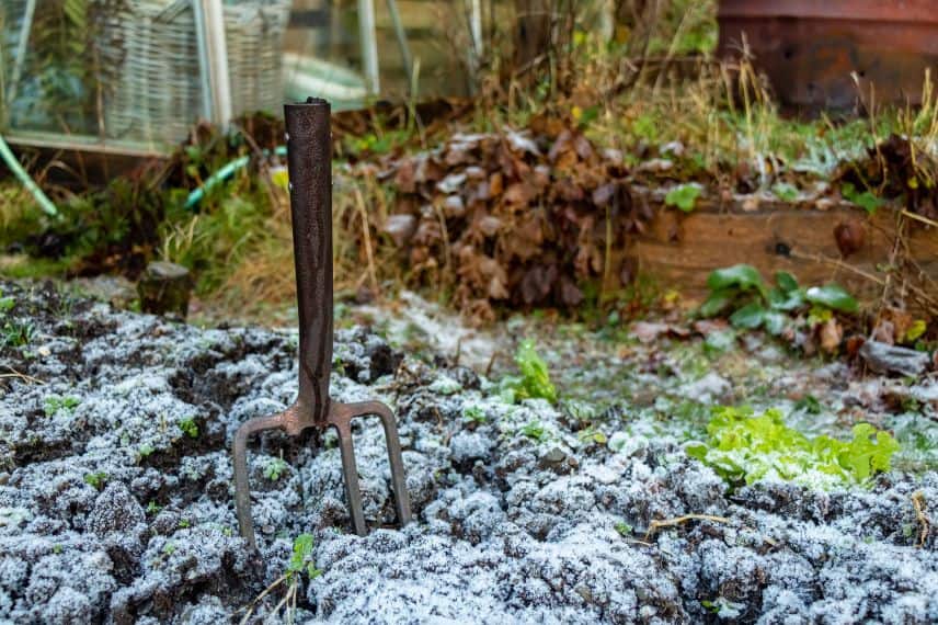 neige et froid sur le potager