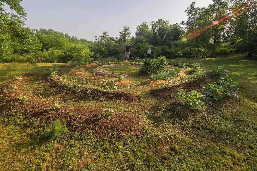 des buttes de culture au potager permacole