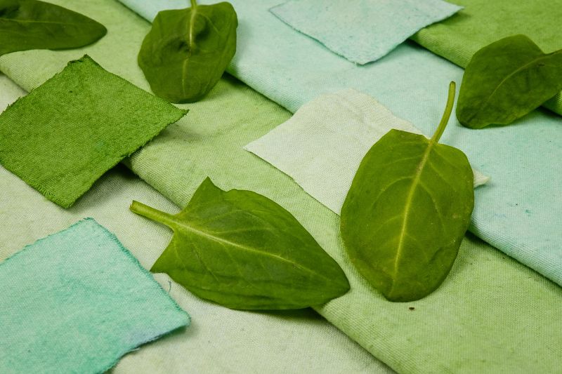 Fabriquer de la teinture végétale pour les vêtements
