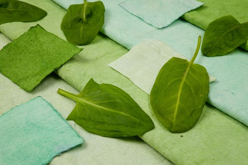 Teindre la laine et le tissu avec des plantes naturelles