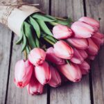 Un bouquet de tulipes pour 1 €