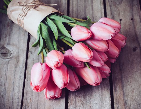Un bouquet de tulipes pour 1 €