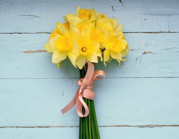 Un bouquet de narcisses pour 0.50 €