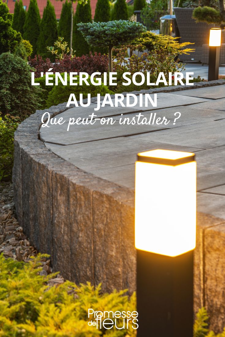 Des luminaires solaires de jardin pour des nuits étoilées