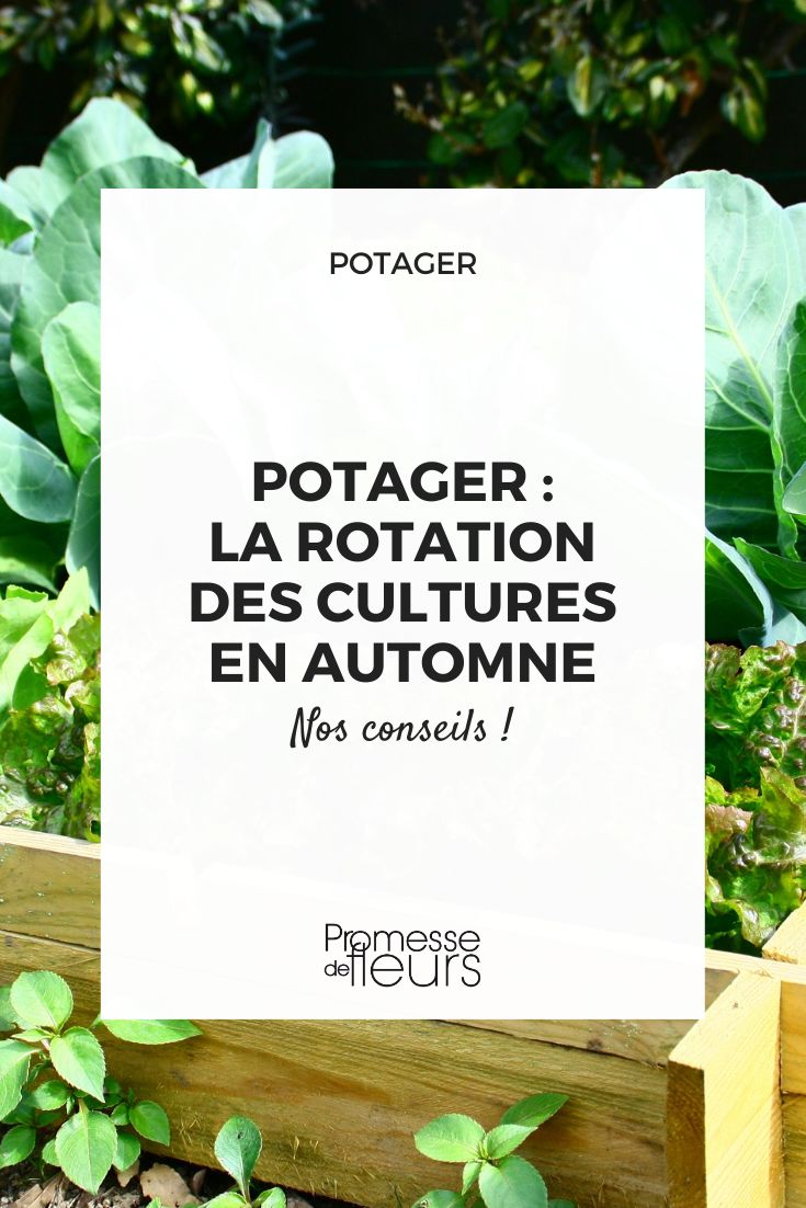 Evaluer ses besoins au potager