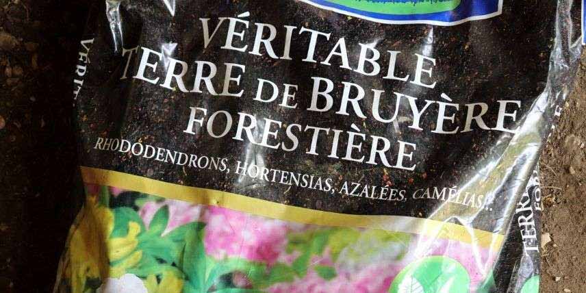 véritable terre de bruyère