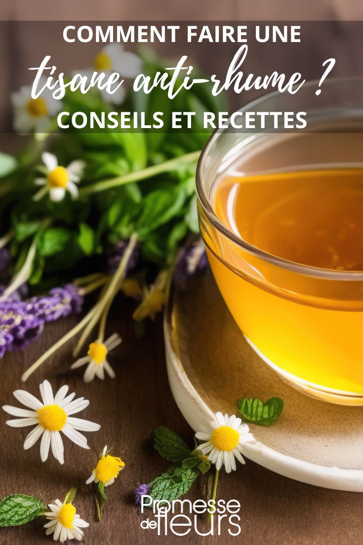 Comment préparer une tisane contre le rhume ? - Blog Promesse de fleurs