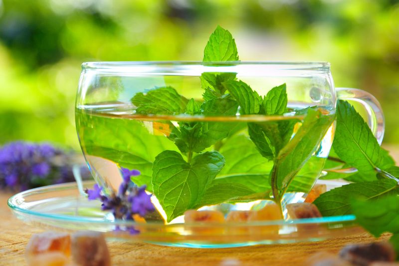 Comment utiliser la tisane de menthe poivrée comme un remède