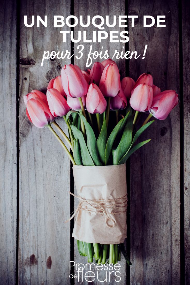 cultiver des tulipes en bouquet pour pas chers