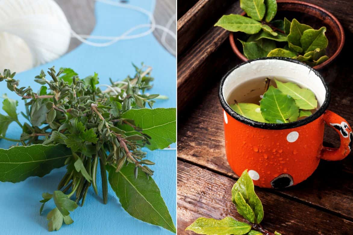 bay leaf uses
