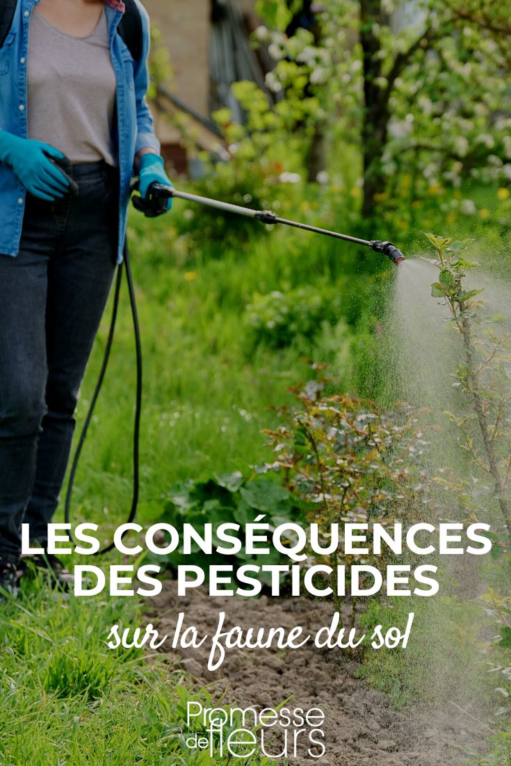 Les conséquences néfastes des pesticides sur la faune du sol