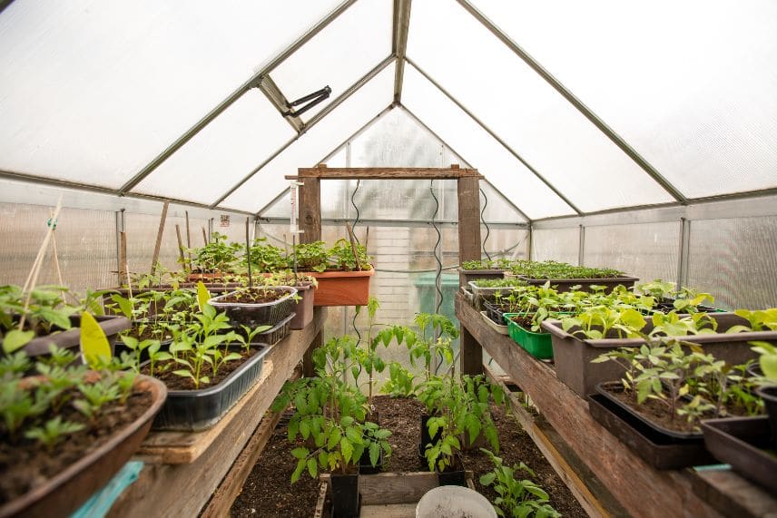 Comment fabriquer une mini-serre, un semoir ou des pots : six idées pour  jardiner à moindre coût